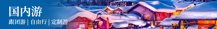 国内游