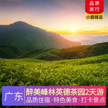 醉美峰林英德茶园2天游<深圳出发>英德市区公寓酒店，寻味《英红茶香宴》