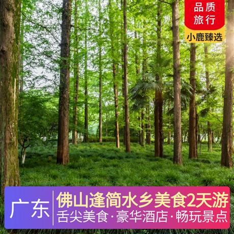 佛山逢简水乡美食2天游<深圳出发>入住豪华金鼎泰丰酒店，漫步逢简水乡—感受水乡慢生活